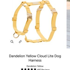 Dandelion Yellow Dog Harness